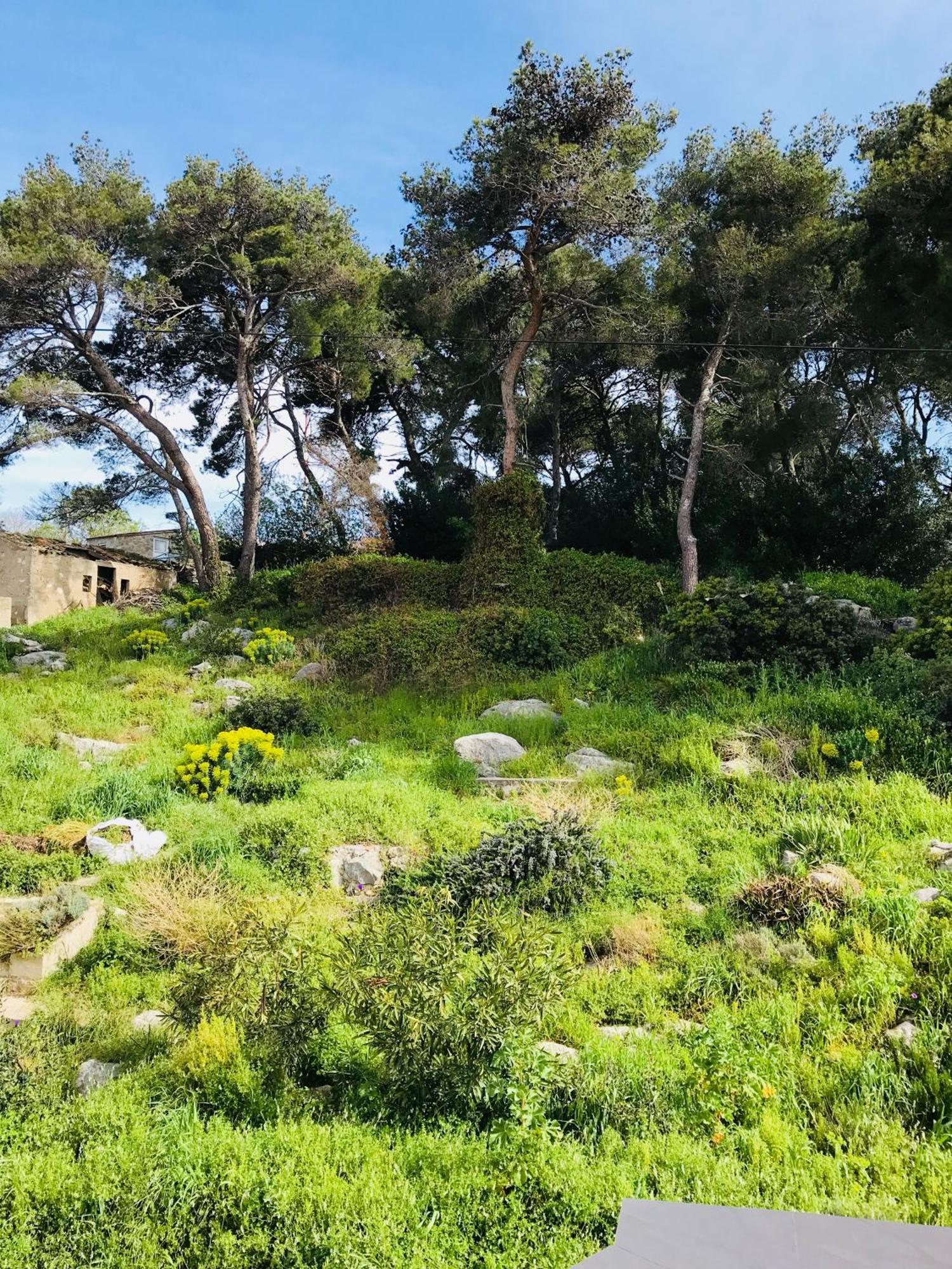Apartmani Sali Seaview Bagian luar foto